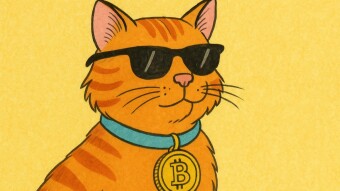 My Cat’s Meme Coin Hit a $10M Market Cap While I Was Asleep (Crypto Satire)