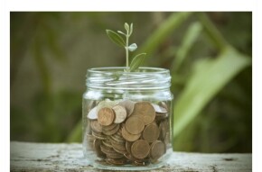 Bitcoin, mainstream currency, altcoin, how do you choose?
