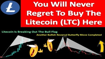 You Will Never Regret To Buy The Litecoin (LTC) Here