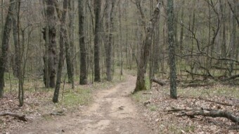 Weekday Nature Walk: Consolation Prizes