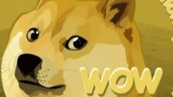 Dodgecoin the cryptocurrency that was born from a meme and reached $302,596,045 of market capitalization.