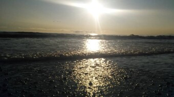 Anybody Know Anything About A Phenomenon Called Tides?