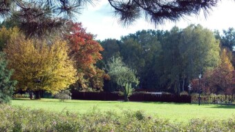 Sunny, lively but pleasant for long walks - My Actifit Report Card: October 2022