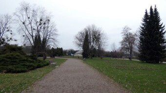 Today a rotten low prevailed. Rainy, cold, damp - My Actifit Report Card: March 12 2024