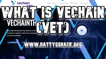 What is VeChain (VET)