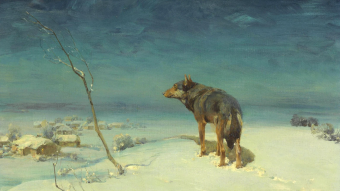 The Wolf Who Wept Eternity
