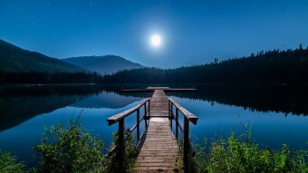 Moonlight Elegy.