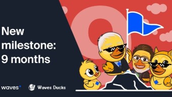 Waves Ducks Ecosystem, NFT & Game in My Life