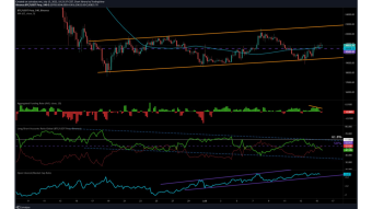 Real or Fake Pump on BTC???