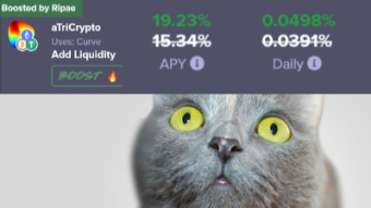 How To Maximize Your USD Staking Rewards - Avalanche, Beefy Finance & Ripae