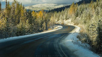 A Blend of Seasons