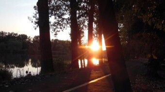 Cycling and definitely not autumn - My Actifit Report Card: September 8 2023