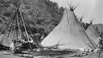 Wilderness Freedom