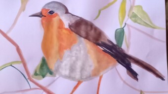 Drawing of a Bird