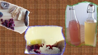 🍹Fruit Kefir: how to make it (En-Fr)🍹