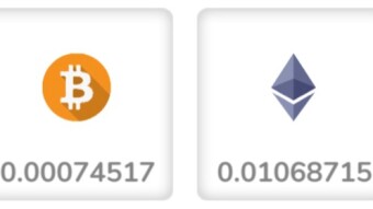 Coin Hunt World (CA/USA) - Earnings, a few weeks in