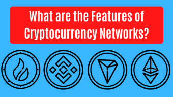 What are the Features of Cryptocurrency Networks?