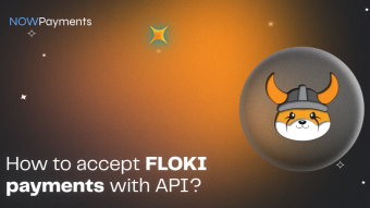 How to accept Floki payments with API?