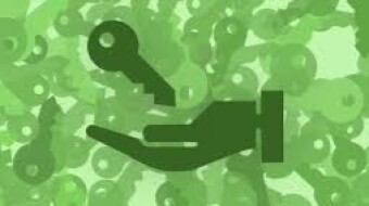 Hunt for Satoshi's wallet private key - It is somewhere on this website but no one is able to find it