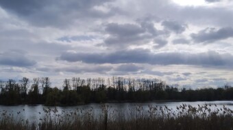 The old-fashioned, quick walk around the chimney - My Actifit Report Card: April 9, 2025
