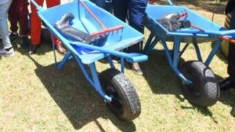 The Wheelbarrow
