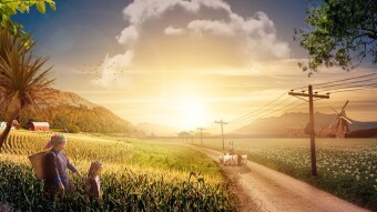 Digitalization In Farming To Improve Economy