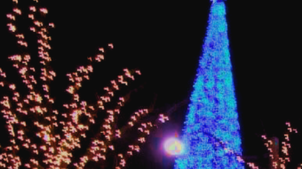 CHRISTMAS CARD TO HUMANITY