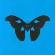 The side effect ( Part 4 Butterfly Effect)