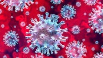 COVID-19 Shuts Down All Bay Area Universities