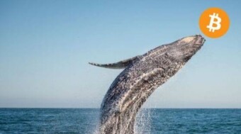 OF COURSE THESE WHALES WILL PLAY THE MONEY GAME.