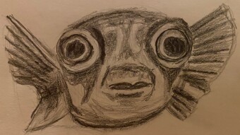 Inktober Day 1: Fish