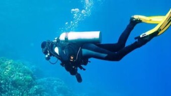 Casual crypto writer -  a dive into the polygon ecosystem