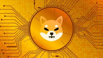 SHIBA INU, HOW MUCH WILL BE GO UP?