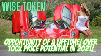 Wise Token Taking Off! Price Up 87% Since Launch! Don't Miss Out! Opportunity Of A Lifetime! Over 100x Price Potential in 2021!
