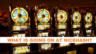 The predatory behavior of Nicehash