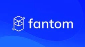 My Investment Eyes on Fantom (FTM)