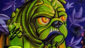STREET ART #2 - T-DOG