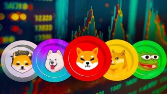 The opposite direction of the mimquins in the market, Shiba is the leader in this competition!
