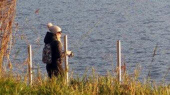 Women with an unusual hobby, cooler than yesterday, fog, but still pleasant - My Actifit Report Card: November 13 2022