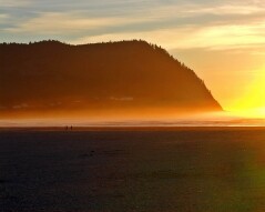 The Pacific at Night
