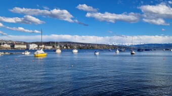 Sunny Day by the Lake