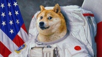 Dogecoin In The Market 9/29/21
