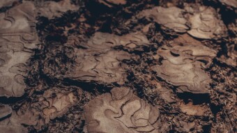 Why We Shouldn't Jump to Colonize Mars