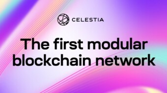 Celestia Staking Updates And 2024 Expectations