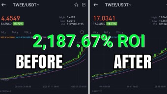 Twee increased $15 in 1 week! HOW?