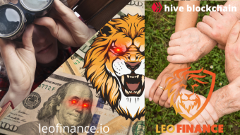What are the Investment Opportunities in LeoThreads?