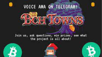 This is a ghost town - BCHtowns postmortem analysis