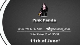 Pink Panda x Satoshi Club AMA Recap from 11th of June