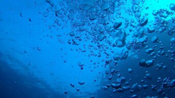 Underwater Photography in Tenerife