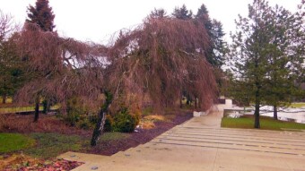 Innovation in eco-posts and acceptable weather for January - My Actifit Report Card: January 25 2023